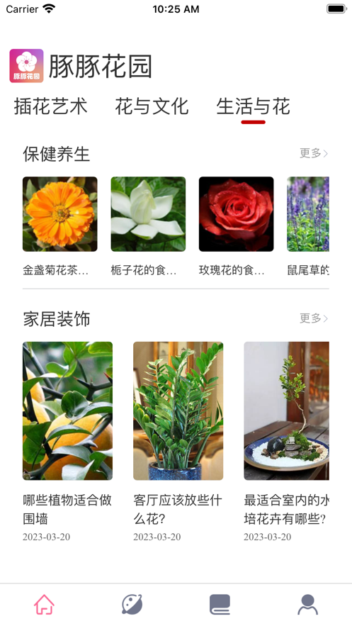 豚豚花园0