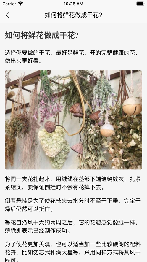 豚豚花园2