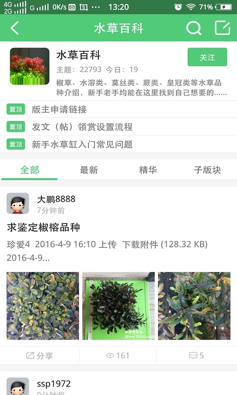 水草秀2