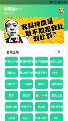 神鹰盒纯净0