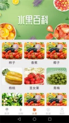 绿色菜园子0