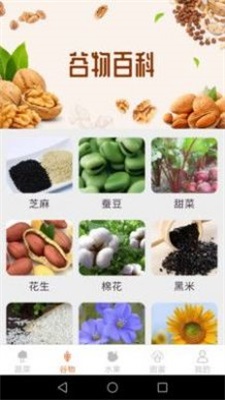 绿色菜园子1