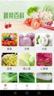 绿色菜园子2