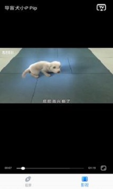 萝卜投屏1