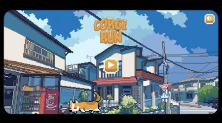 柯基奔跑2