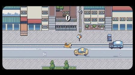 柯基奔跑3