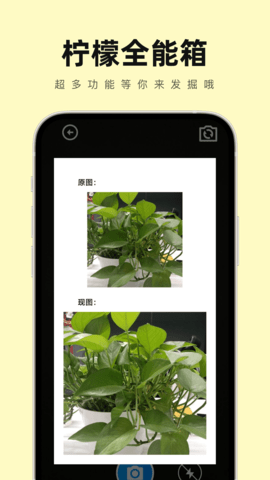 柠檬全能箱1