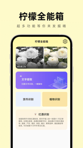 柠檬全能箱3