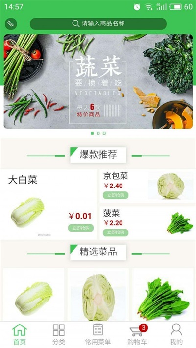 急质蔬菜1