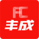 大丰宝