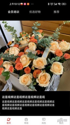 淼雕商城1