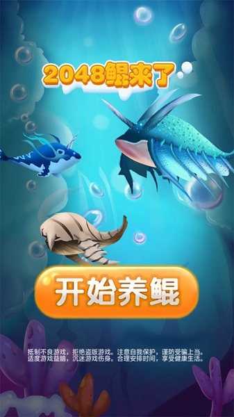 2048鲲来了1