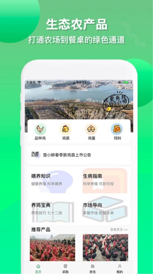 楚小鲜1