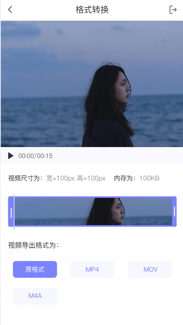视频转格式大师1