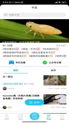 昆虫百科1