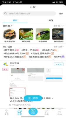 昆虫百科2