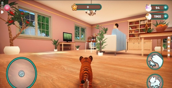 猫咪模拟器21