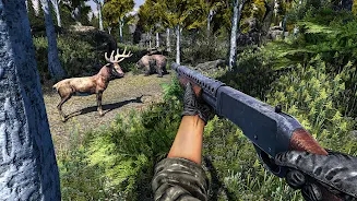 野鹿狩猎射击0