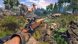 野鹿狩猎射击2