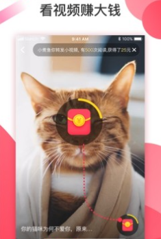 魔视短视频0