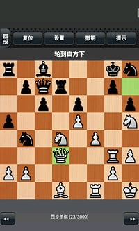 国际象棋大师2014下载0
