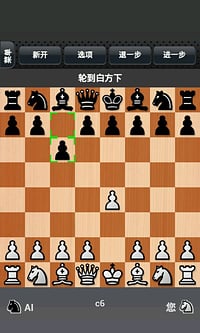 国际象棋大师2014下载3