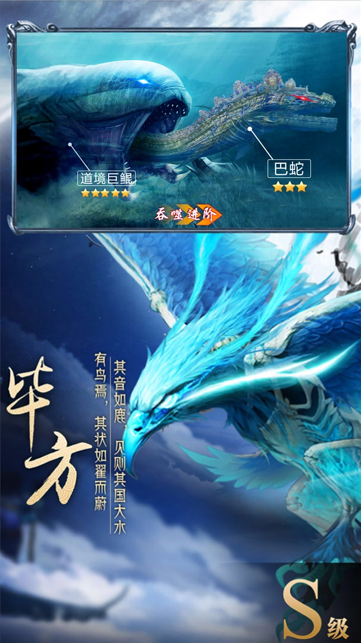 醉美人1