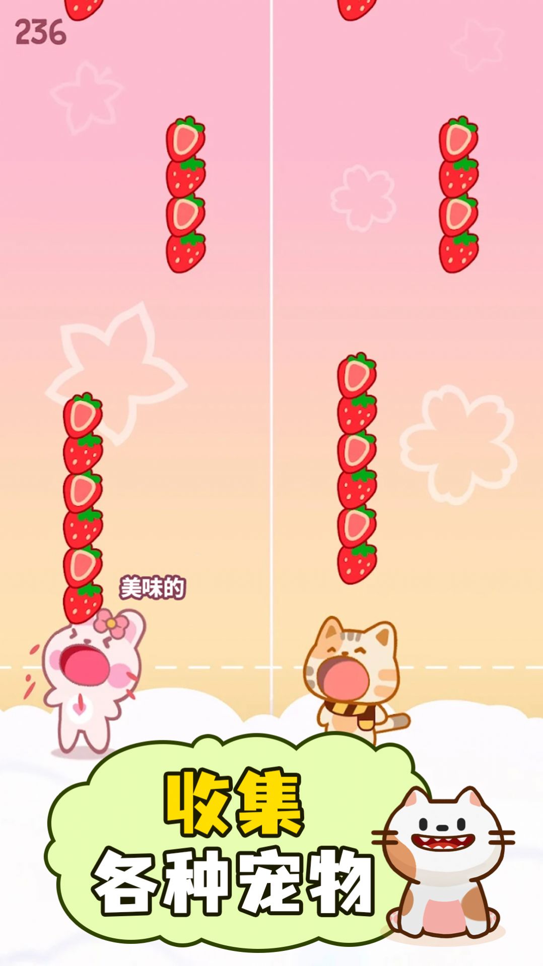 萌猫二重奏0