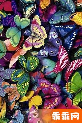 Butterfly Jigsaw1