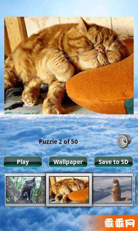 猫拼图 Cats Puzzle1