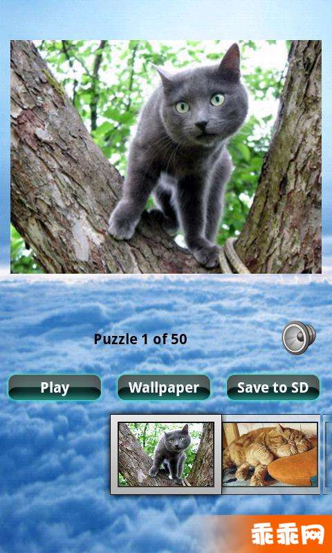 猫拼图 Cats Puzzle2