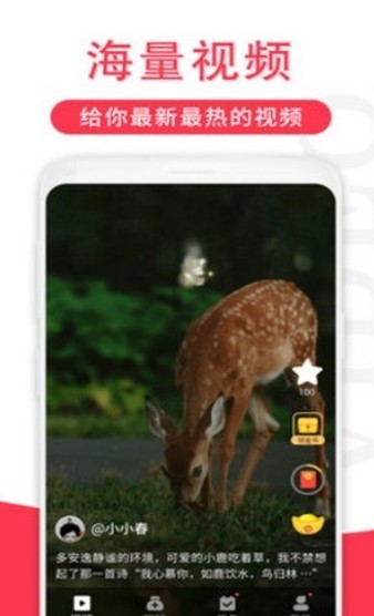 辣椒短视频红包版2