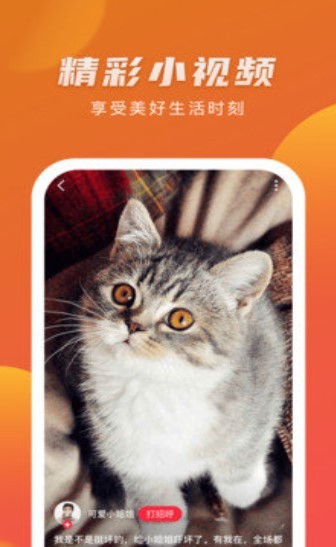 种种视频0