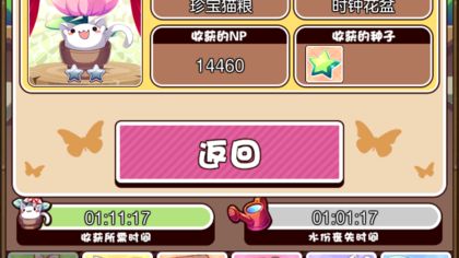 猫咪花盆1