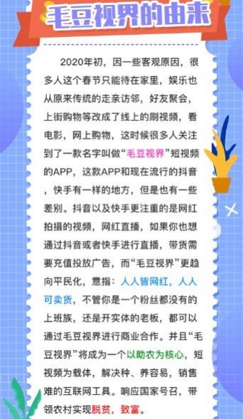毛豆视界1