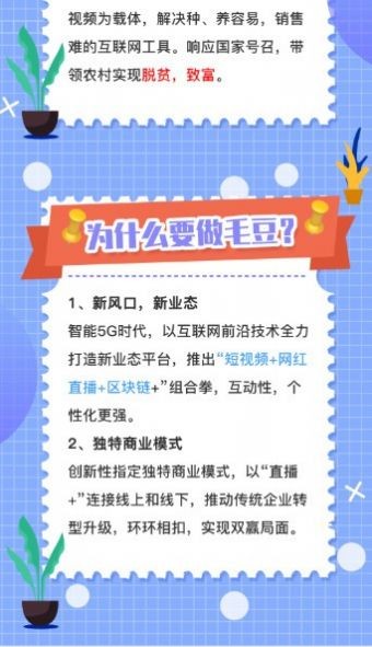 毛豆视界2