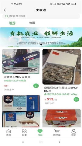 央联港1