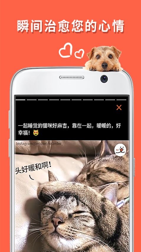 朋宠PECO0
