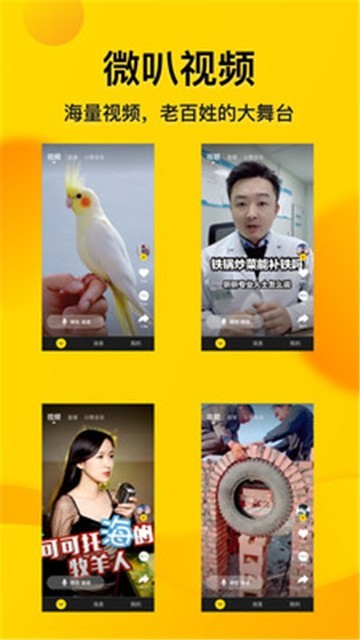 微叭视频2