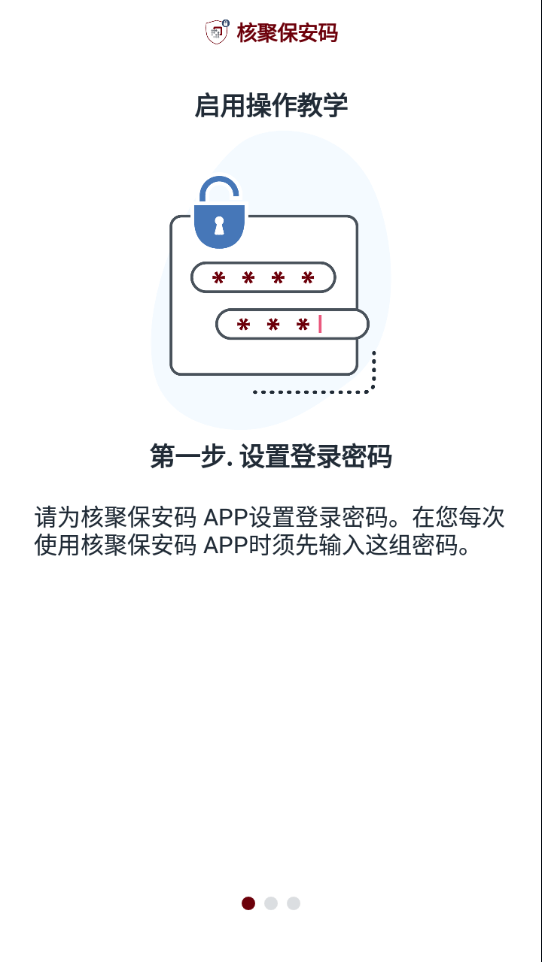 核聚保安码0