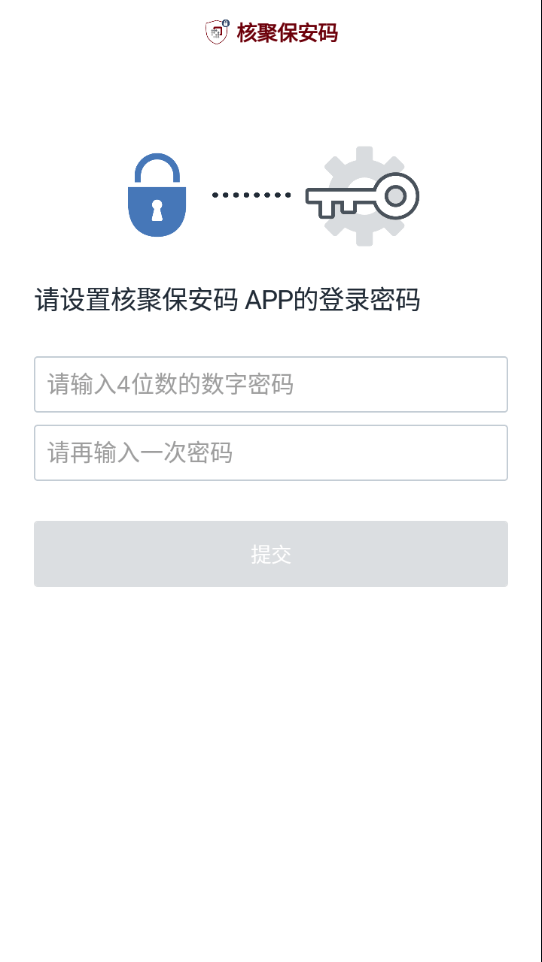 核聚保安码3