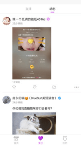 狐聊直播3