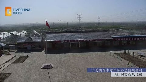 小春直播0