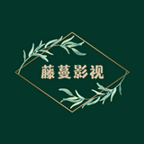 藤蔓影视