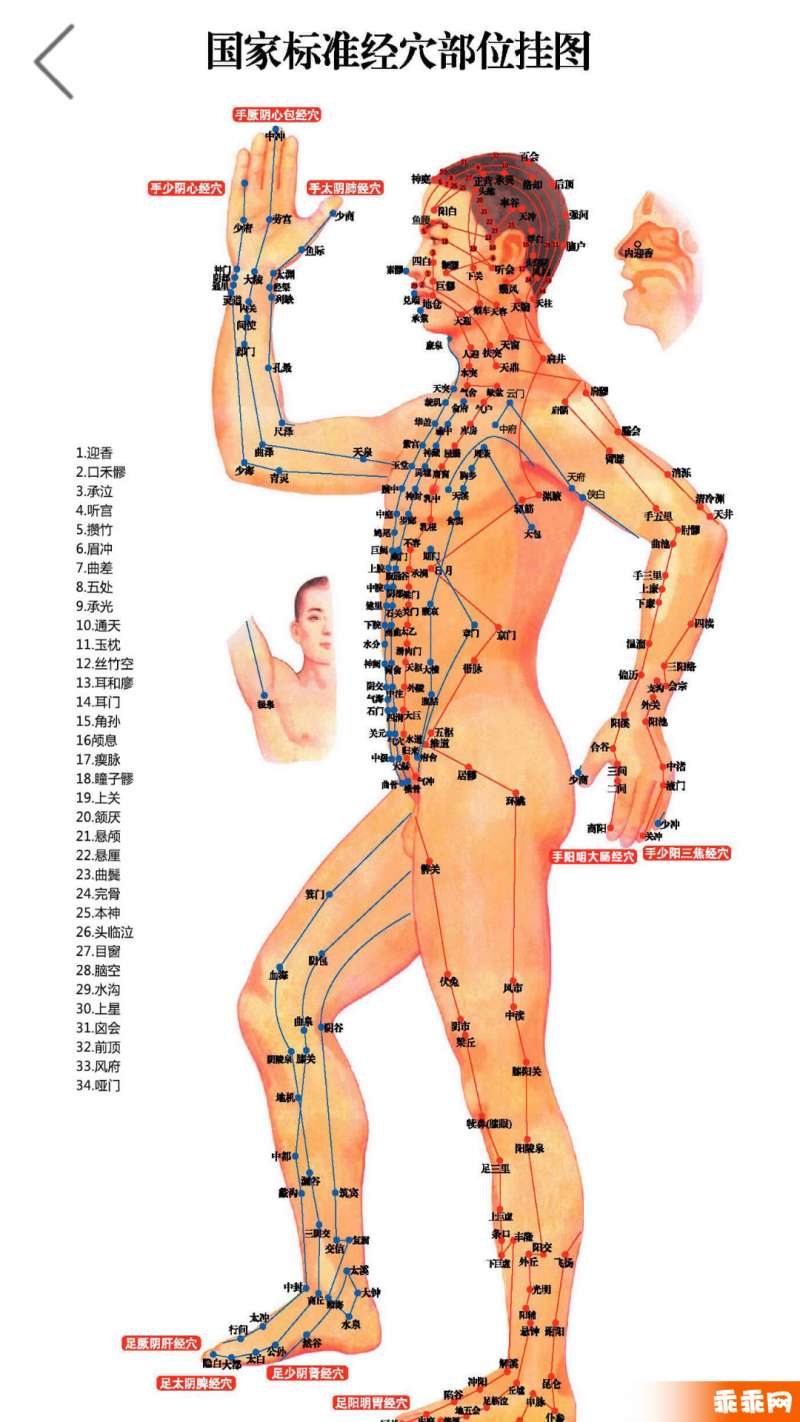 经络穴位图解2