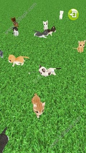 我们去抓猫1