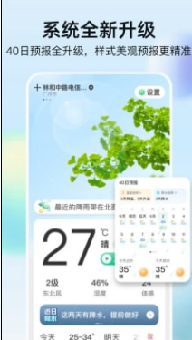 竹雨天气1