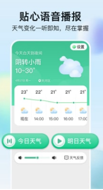 竹雨天气2