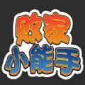 败家小能手