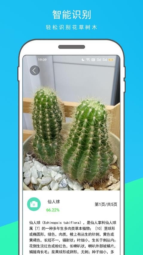 万物识别王0